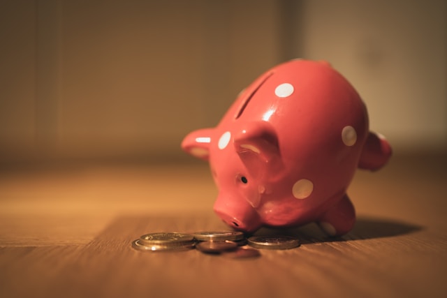 pink piggy bank